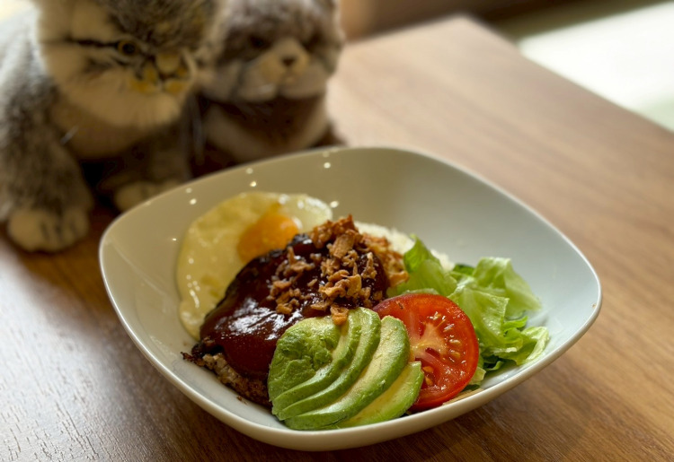 ▼ロコモコ丼